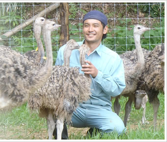 ダチョウって寒さには弱いんじゃ 時速70 かずき農園 In Season インシーズン